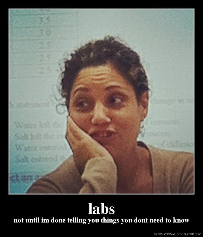 Labs-not-until-im-done-telling-you-things-you-dont-need-to-know-3f579d