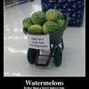 Watermelons-better-than-a-lower-intrest-rate-3805da