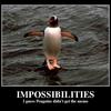 Gentoo-penguins