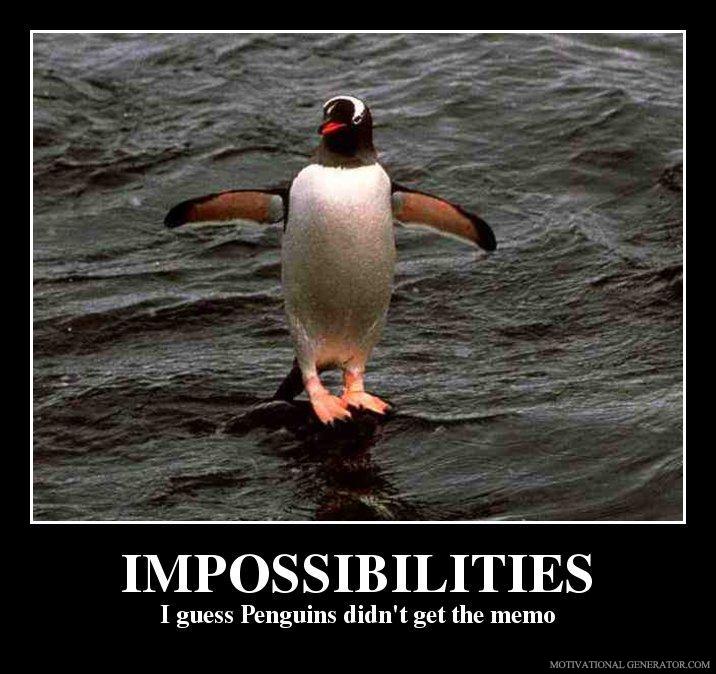 Gentoo penguins
