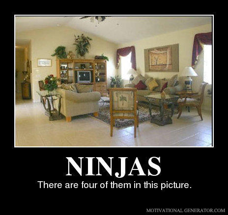 Ninjas